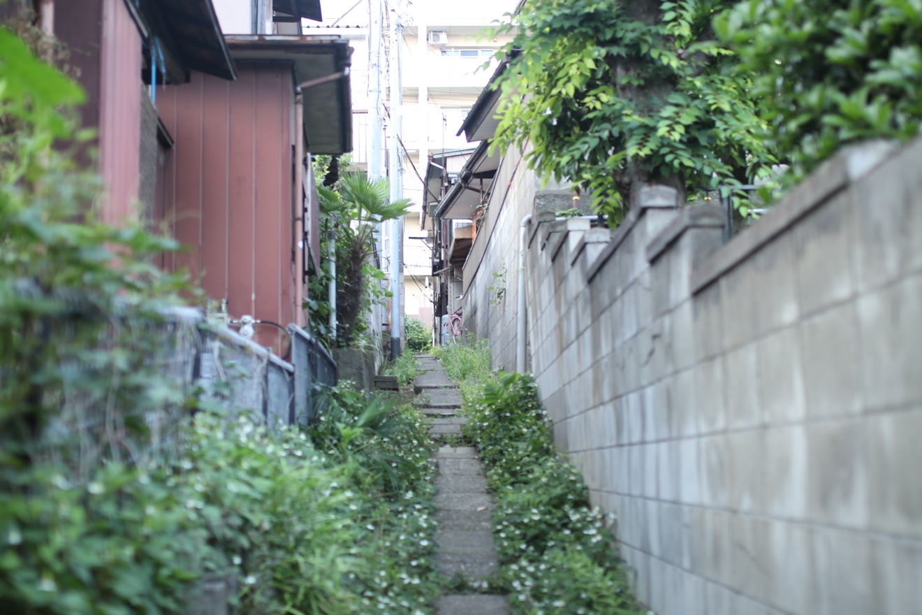 川口の住宅街の細い路地。草花が生い茂り、ブロック塀と古い家並みに挟まれた石段の小道